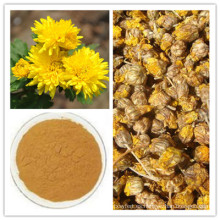 Extracto natural de Chrysanthemi Indici Flos